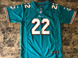 reggie bush dolphins jersey
