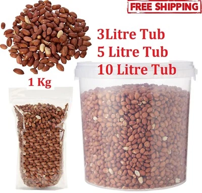 peanuts Wild birds 1-3-5-10 Litre Wild Bird Garden Seed Nut Feed Tubs For Birds