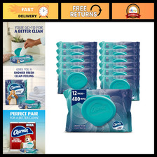 Flushable Wipes, 480 Total Wipes - 12 Packs of 40, Hypoallergenic, Soft  Strong