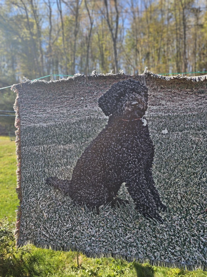 Tapiz Goldendoodle negro Foto 2 de 3