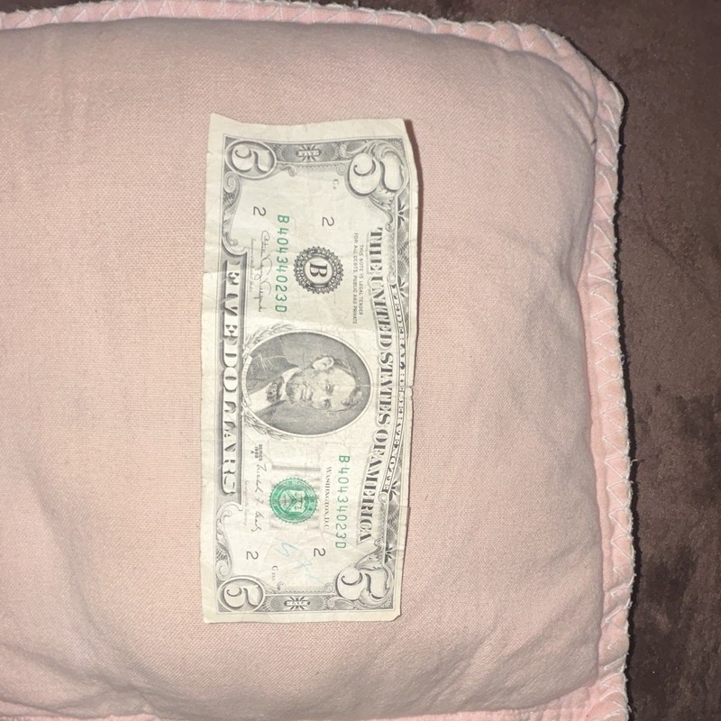Pink Solid Pillow Sham, Standard Rectangular with Ruffled Edge