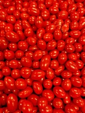 Boston Baked Beans 3 POUND Bulk Candy Coated Peanuts FREE SHIPPING