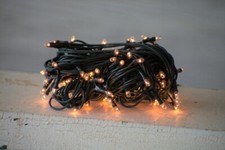 50 Incandescent Clear Rice Lights on Green Cord - WHD Floral