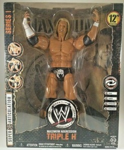 wwe maximum aggression