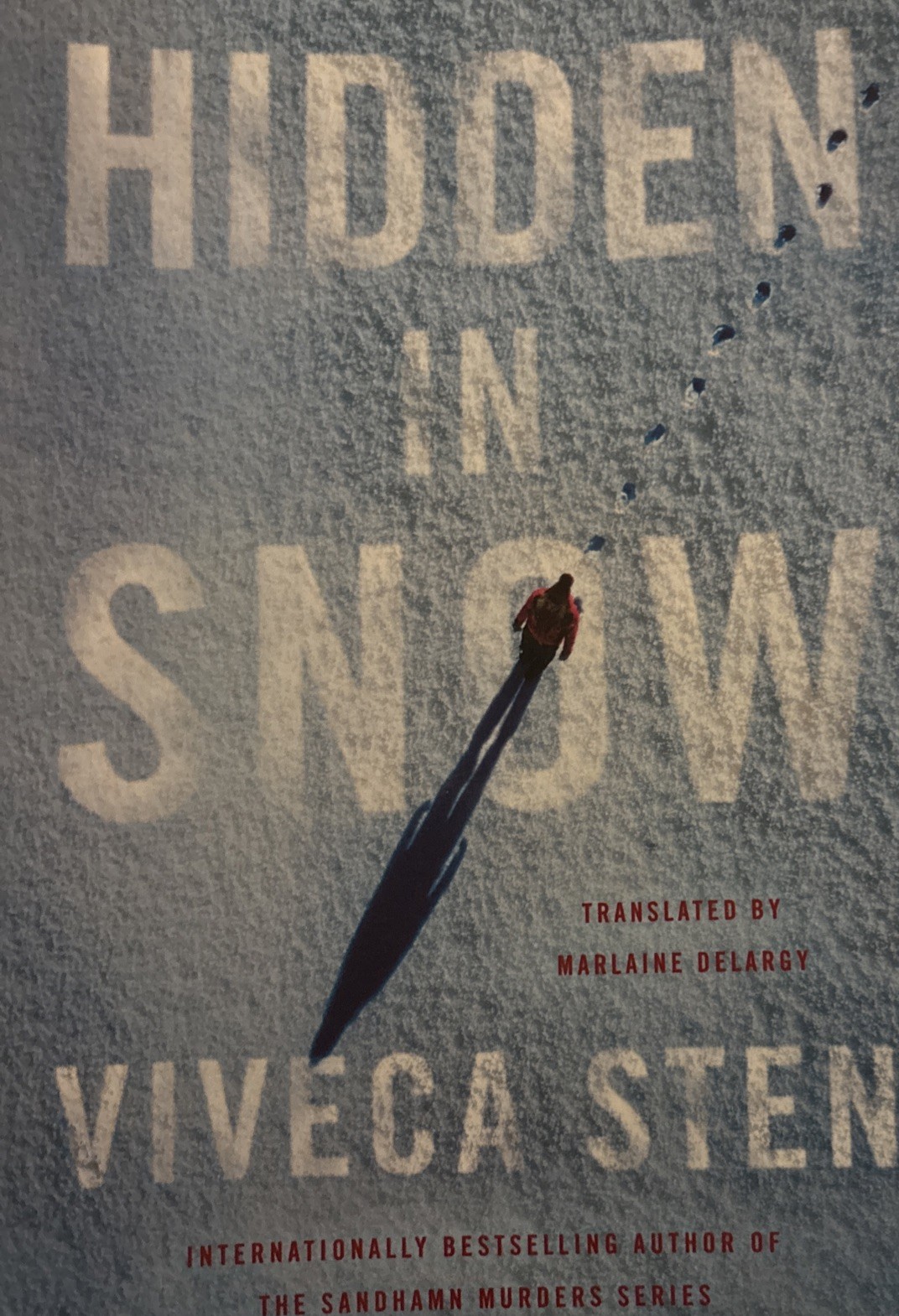 Hidden in Snow: 1 (The Åre Murders) - Image 8