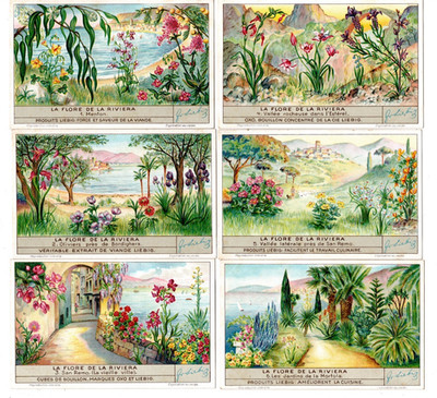 LIEBIG  S 1354   F1351   C/SET 'FLORA  OF RIVIER A  '  V/G  BELGIAN or FLEMISH