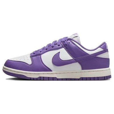 Nike Dunk Low Next Nature DD1873-108
