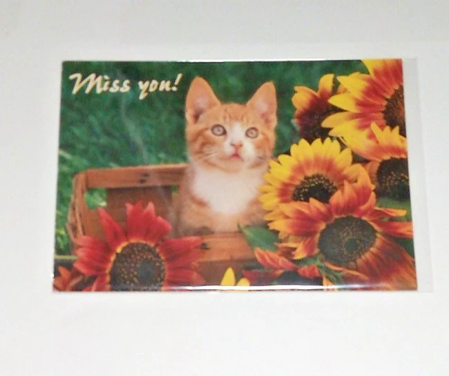 Postcard Miss You Cat Kitten In Flowers Vintage 2004 2CG 297 Free USA Shipping - Image 3 of 4