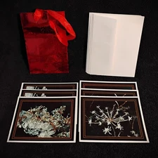 Photo Notecards Handmade Macro Ice Covered Plants Winter Set of 6 Blank Inside