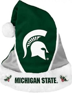 Michigan State Spartans Colorblock 