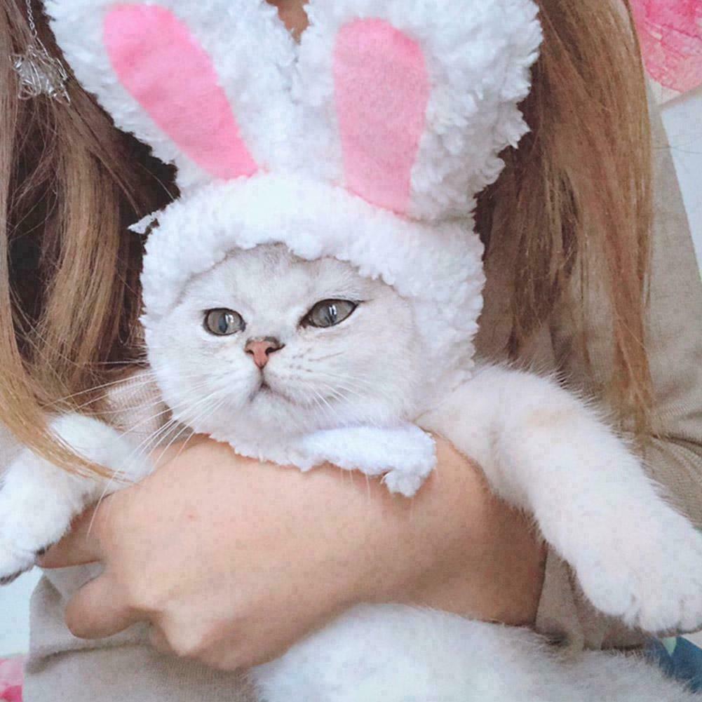 Купить Cat Bunny Rabbit Ears Hat Cap 