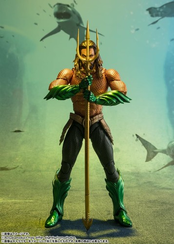S.H.Figuarts Aquaman and the Lost Kingdom Aquaman Action Figure Tamashii Nations - Picture 8 of 8