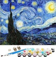 Paint by Numbers Kit for Adults Kids DIY Starry Night 40x50 cm Stamped Canvas