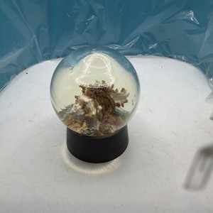 Vintage Hermit Crab In Resin Jelly Globe With Plastic Pedestal