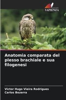 Victor Hugo Vieira Rodrigues (U. A.) | Anatomia Comparata Del Plesso...