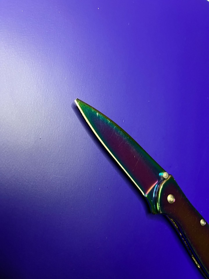 Kershaw USA Leek 1660VIB Rainbow Assisted Open Plain Edge Pocket Knife