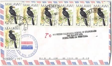 Malawi #531 7 copies of Malawi 531 to Buena Park CA, ca 2001