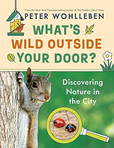 What's Wild Outside Your Door?: Discovering Nature in the City - Image 7
