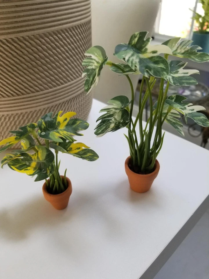 Miniature Dollhouse Plant / Plants (Set of 4) - Image 3 of 4