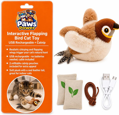 Not Flying Toys Rechargeable Flapping Bird Sparrow , Lifelike Chirp Tweet