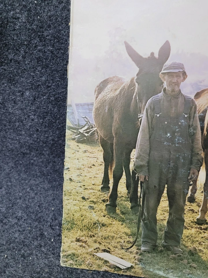 Vintage Ozark Mountain Daredevils Vinyl LP Men From Earth 1976 A&M SP-4601 Rock Foto 2 de 4