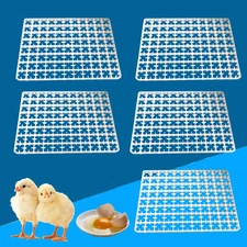 5pcs 440 Egg Automatic Hatcher Tray Automatic Breeding Machine Incubator