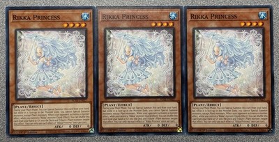 Rikka Princess POTE-EN027 (x3) Power of the Elements Common 1st Edition NM
