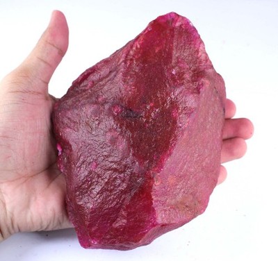 Natural 3801 Ct African Red Ruby Gemstone Certified Rough T17522