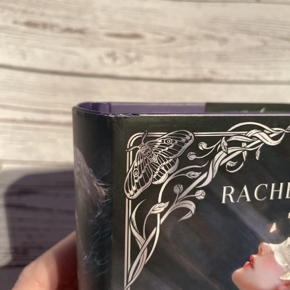 German Edition The knight And The Moth by Rachel Gillig International Damaged  - Image 2 of 4