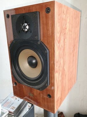 PARADIGM REFERENCE Active 20 