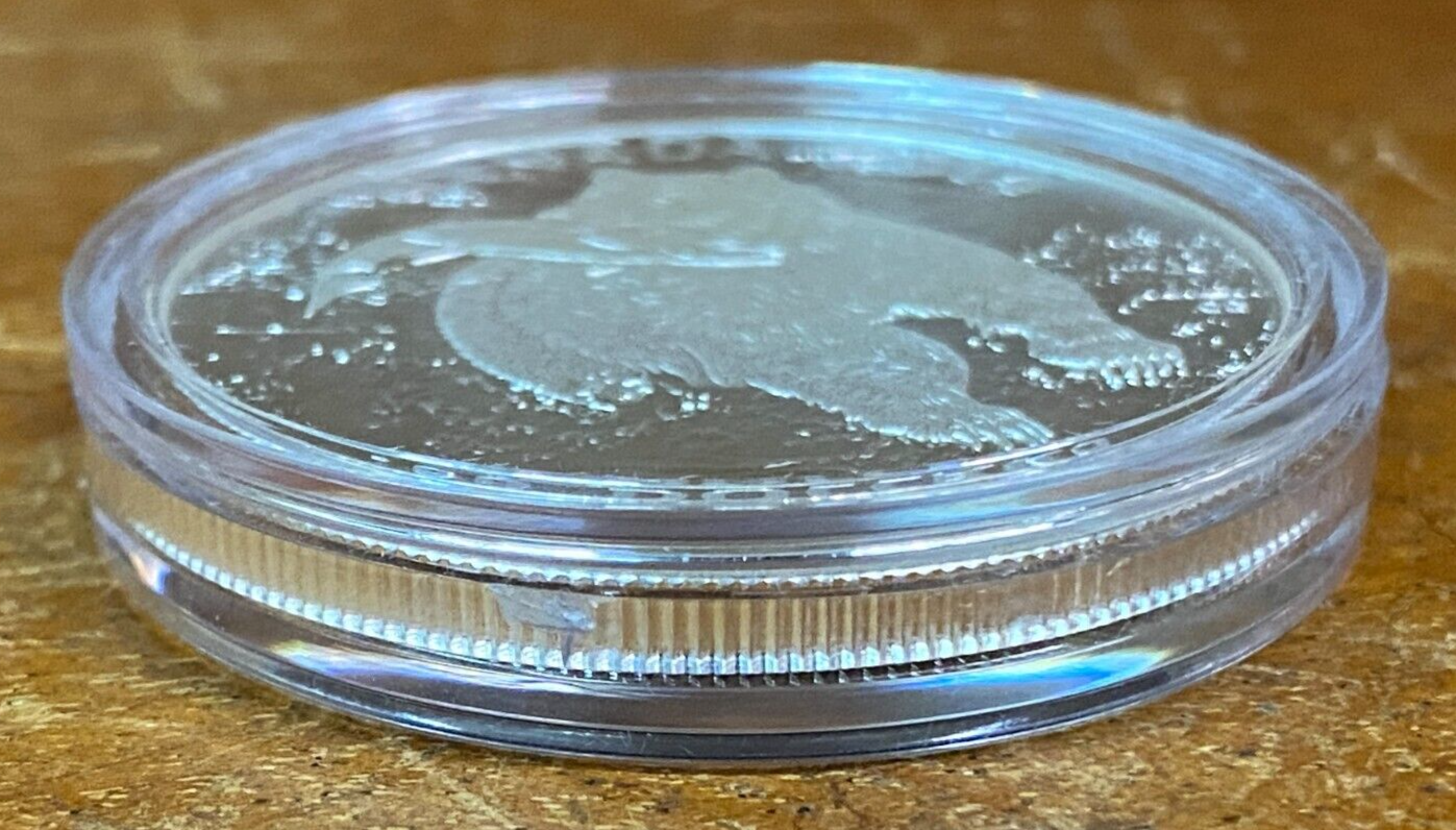 Picture 7 of 17