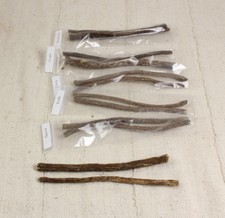 Licorice root, Chew Sticks - Sampler Set 12 Sticks - 2 of each Flavor