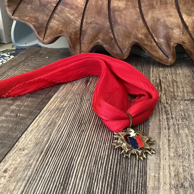 1950 s coat of arms heraldic knight and shield on red scarf vampire Ascot
