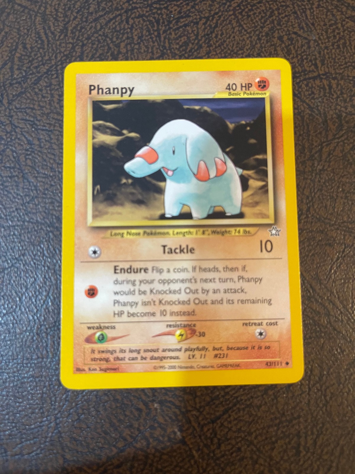 Pokémon - Phanpy 43/111 Neo Genesis LP