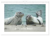 Seals On The Beach (Wall Calendar 2026 Din A4 Landscape), Calvendo 12 Month...