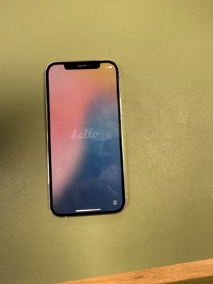 Apple iPhone 12 Pro 128 GB Silber   gepflegt, iCloud frei, funktionsfähig