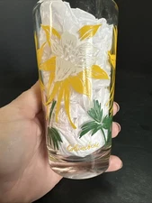 Vintage 1950’s Boscul Peanut Butter Glasses 5” Columbine