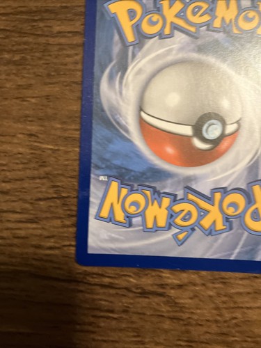 Carta Pokémon Gossifleur Holo Rara SWSH010 Promo Stella Nera - Foto 7 di 7