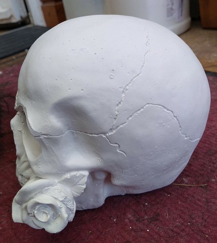LARGE PLASTER SKULL & ROSE (paint your own!) decorate crafts etc 11x9x13 cm - Picture 2 of 4