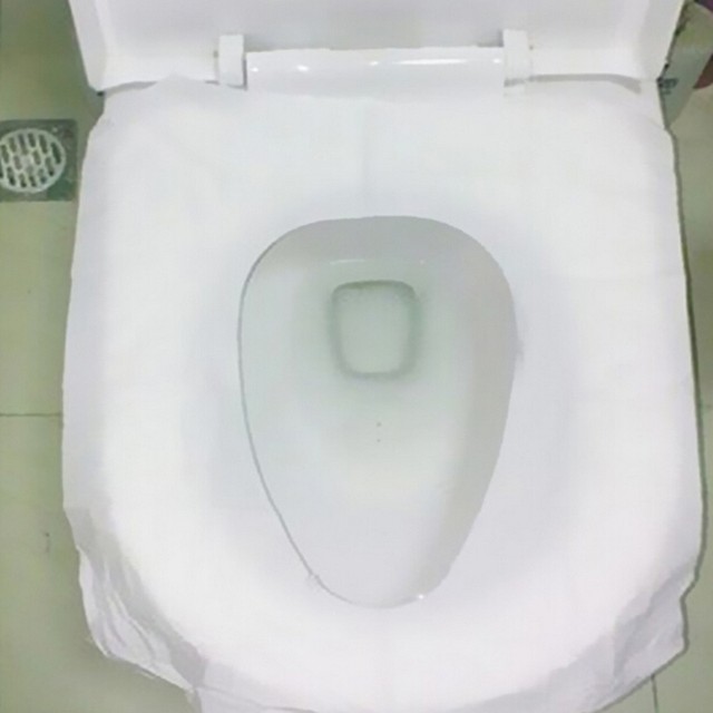 Disposable Toilet Seat Covers 10pcs Flushable Hygienic Paper Travel