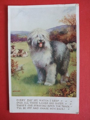 1944 ANIMAL FRIENDS P/C B BUTLER ALTER ENGLISCHER SCHÄFERHUND WACHE ÜBER LAMPEN UND SCHAFE