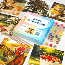 6 Pack Paint by Numbers Kit for Adults Countryside Designs Paint by Numbers