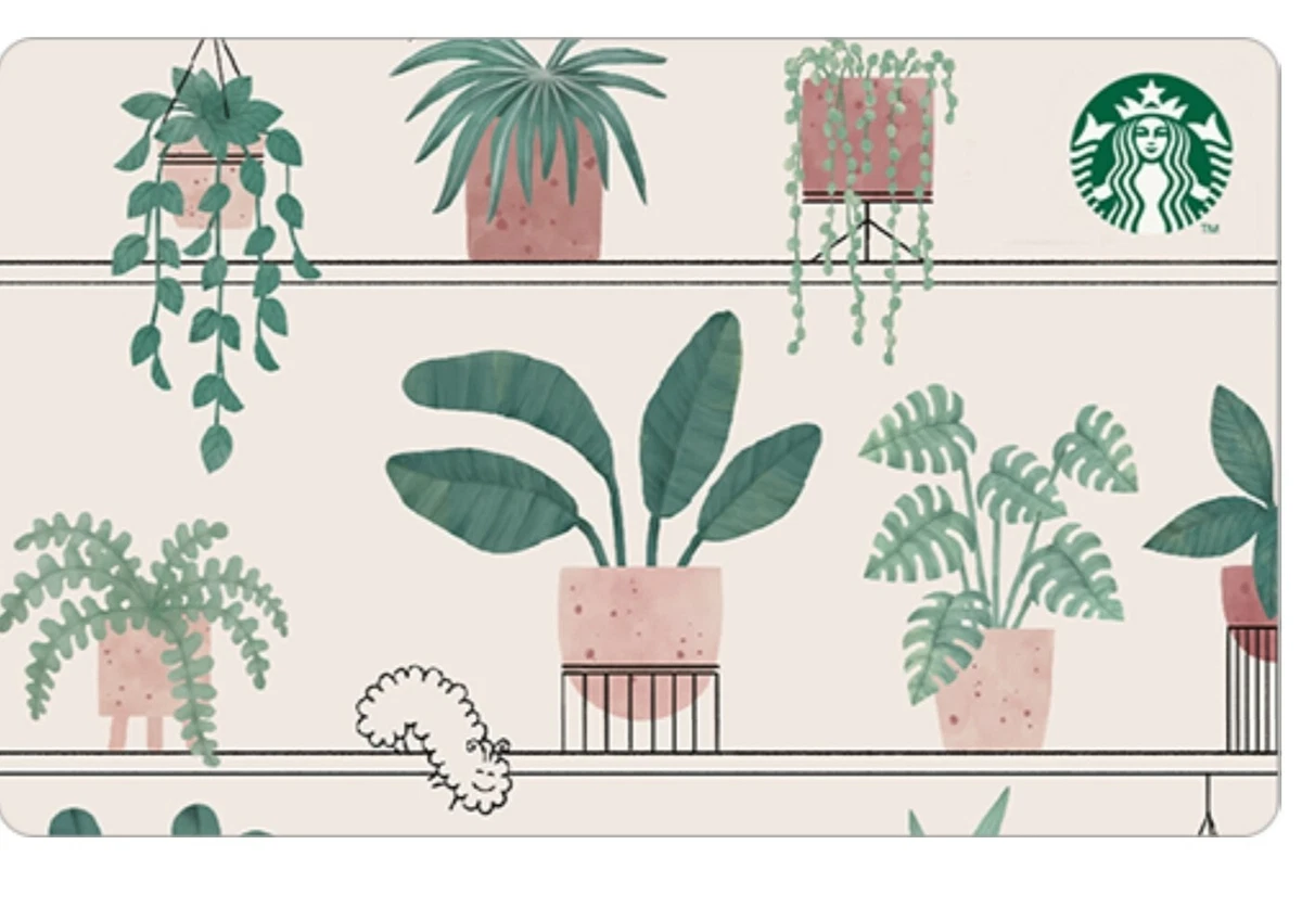 Starbucks card korea 2022 Summer Green Card | eBay