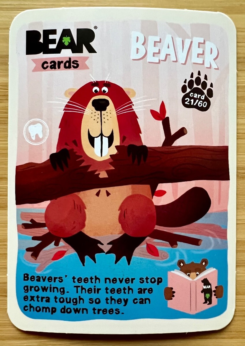 rare bear yoyo cards eeBoo Votes for Women Flash Cards
