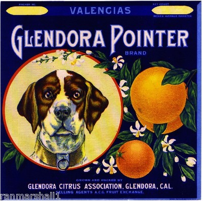 Glendora German Pointer Dog #3 Orange Citrus Fruit Crate Label Art Print
