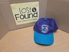 Charlotte Hornets Hat Mitchell & Ness Hardwood Classics Graphic Cap