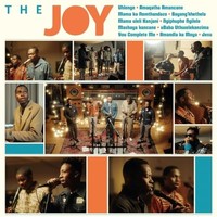 Joy - Vinyl Record 12 Record - G3Z