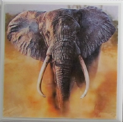 Set of 1 - Handmade Natural Stone Ceramic Tile Drink Coasters - Elephants 4 A