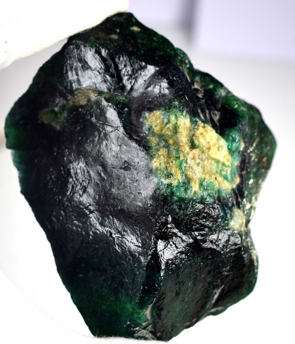 森*田様 Echinodorus sp. 'Jurua Tourmaline' 森*田様 Echinodorus sp. ´Jurua Tourmaline´