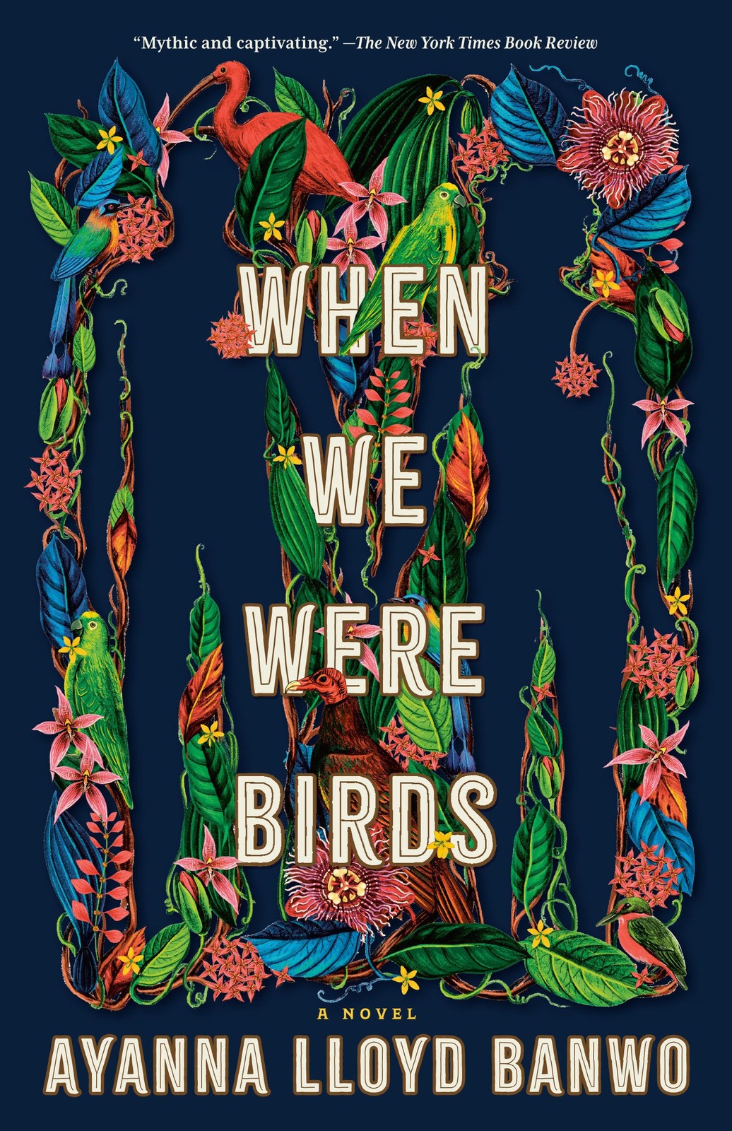 When We Were Birds: A Novel by Banwo